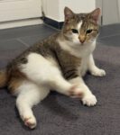 Der Bauer feiert Vatertag!