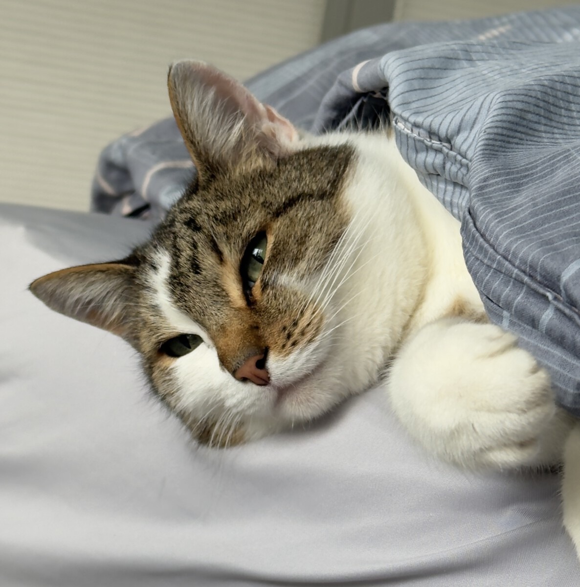 Read more about the article Der Bauer hat nasse Stiefel!