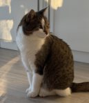 Die Tante Uschi ist schusselig!