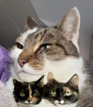 Ich hab die Mädels schön gemacht!