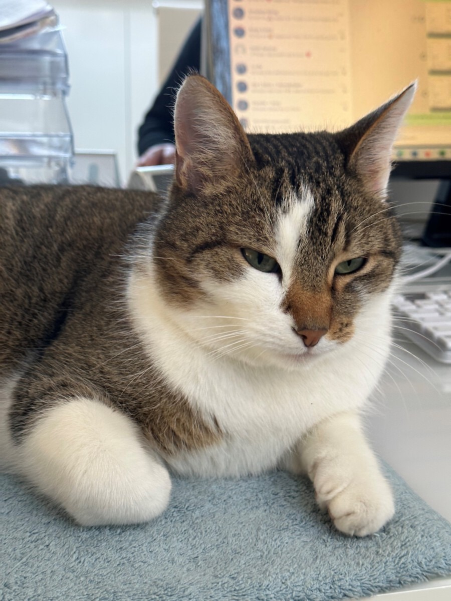 Read more about the article !Ich hab solchen Hunger!!