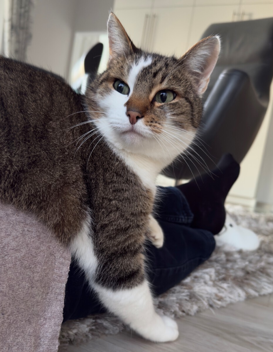 You are currently viewing Ich habe das Knipsdings geklaut!