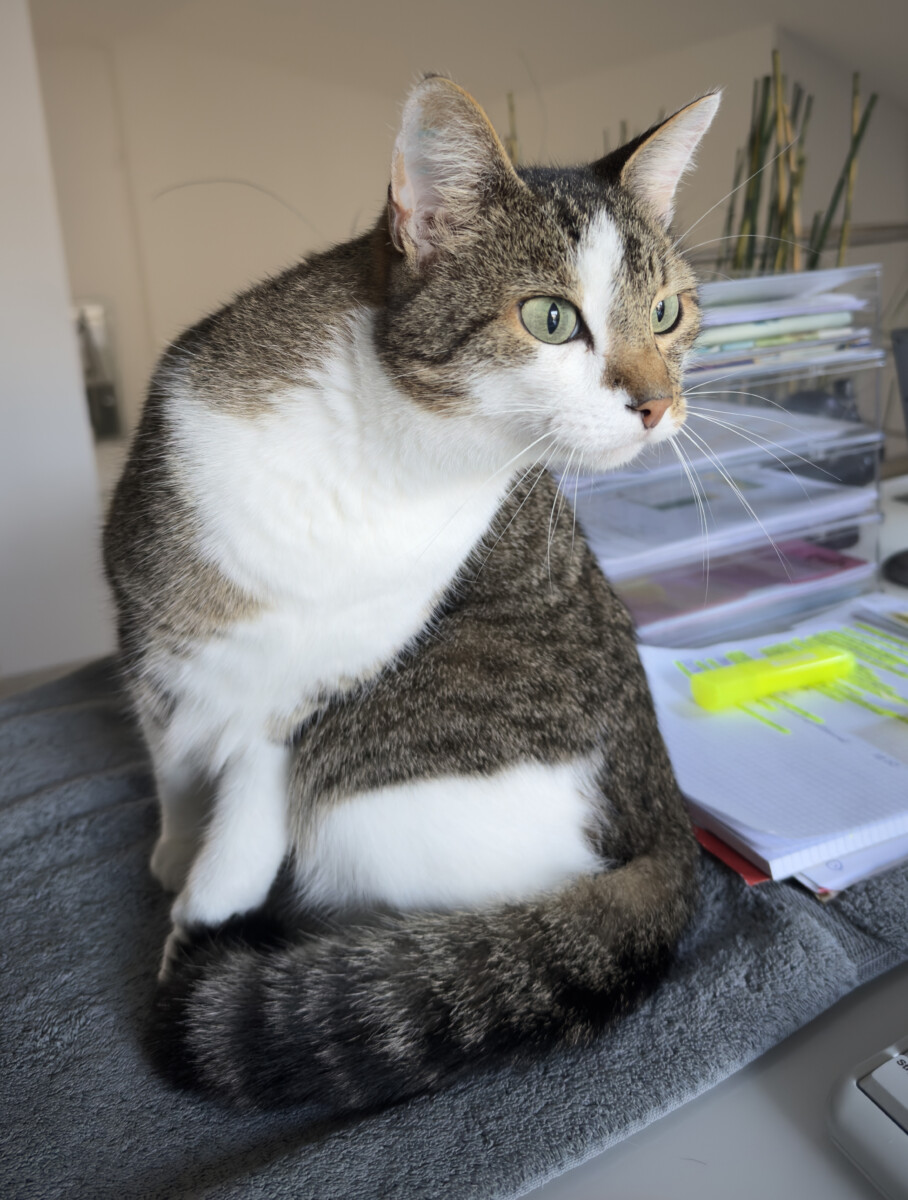 You are currently viewing Ich habe den Kasten geschrottet!