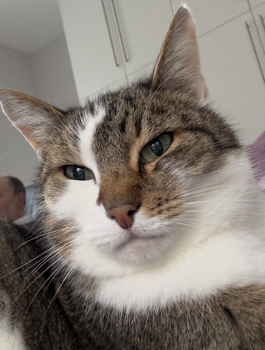 Read more about the article Ich habe eine feine Demo gemacht!