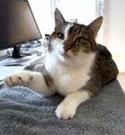 Ich habe gekullert!