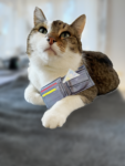 Ich muss heute waschen!