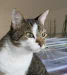 Ich soll keine Wut kriegen!