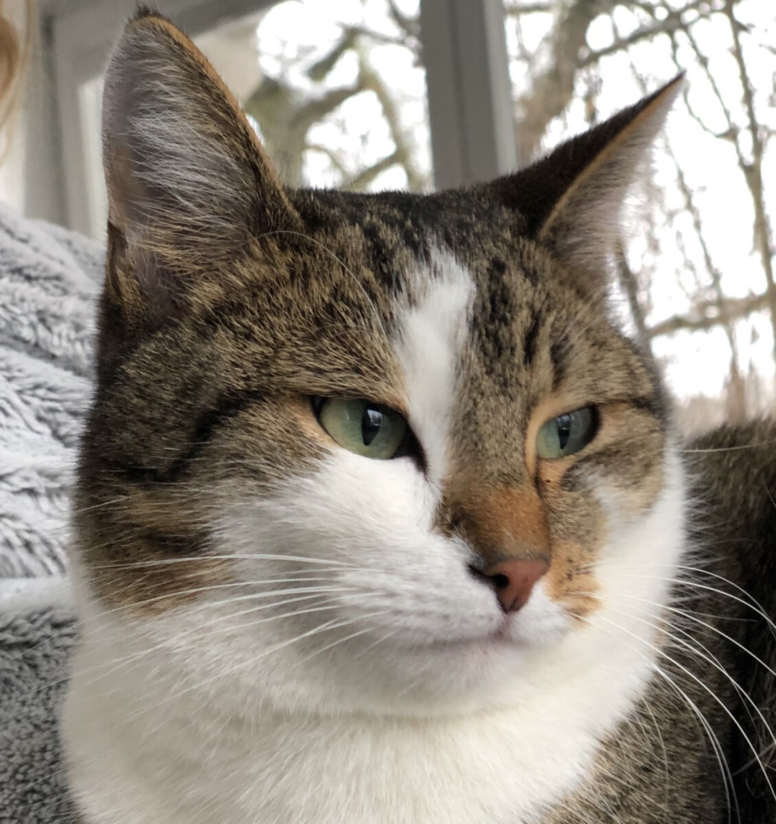 Read more about the article Ich will der Herr Bürgermeister werden!