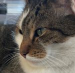 Meine Menschen haben schreckliche Angst gehabt!