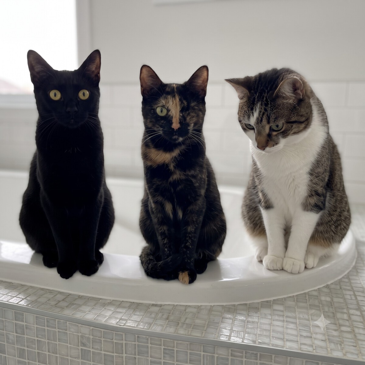 Read more about the article Wir haben das Badezimmer geflutet!